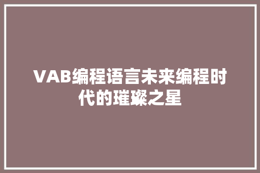 VAB编程语言未来编程时代的璀璨之星