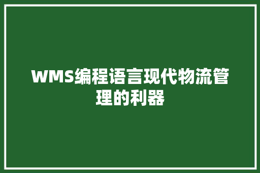 WMS编程语言现代物流管理的利器