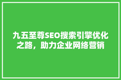 九五至尊SEO搜索引擎优化之路，助力企业网络营销