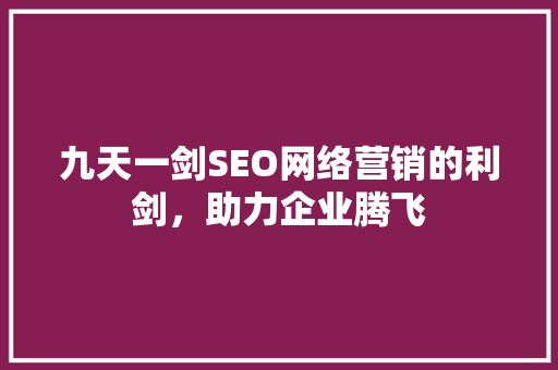 九天一剑SEO网络营销的利剑，助力企业腾飞