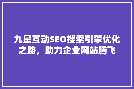 九星互动SEO搜索引擎优化之路，助力企业网站腾飞