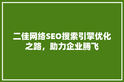 二佳网络SEO搜索引擎优化之路，助力企业腾飞