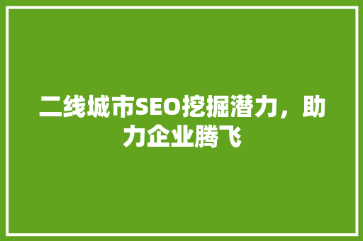 二线城市SEO挖掘潜力，助力企业腾飞