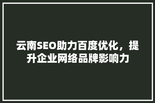 云南SEO助力百度优化，提升企业网络品牌影响力