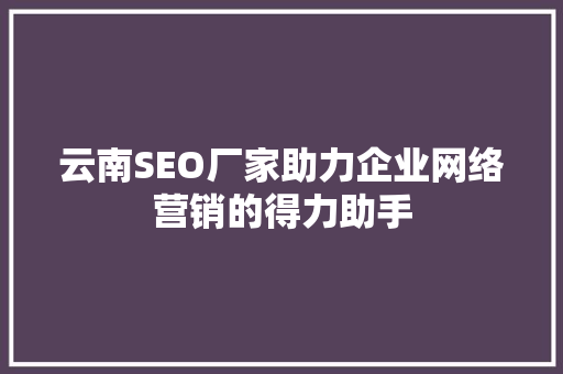 云南SEO厂家助力企业网络营销的得力助手