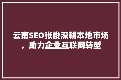 云南SEO张俊深耕本地市场，助力企业互联网转型