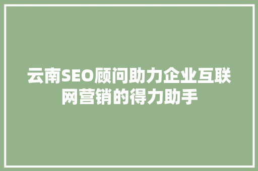 云南SEO顾问助力企业互联网营销的得力助手