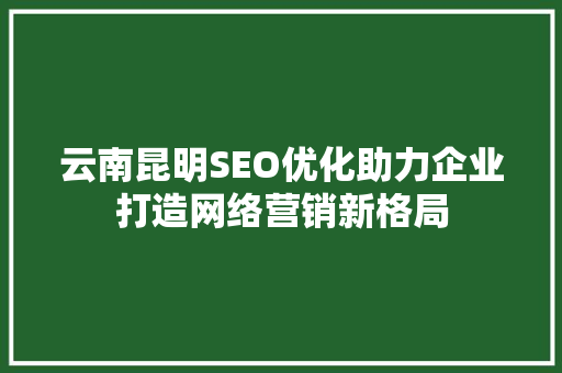 云南昆明SEO优化助力企业打造网络营销新格局