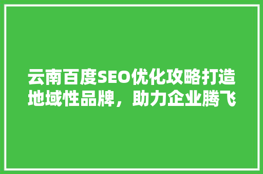 云南百度SEO优化攻略打造地域性品牌，助力企业腾飞