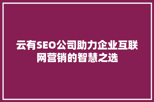 云有SEO公司助力企业互联网营销的智慧之选