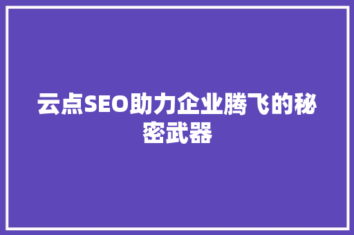 云点SEO助力企业腾飞的秘密武器