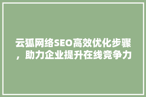 云狐网络SEO高效优化步骤，助力企业提升在线竞争力