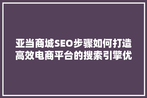 亚当商城SEO步骤如何打造高效电商平台的搜索引擎优化之路