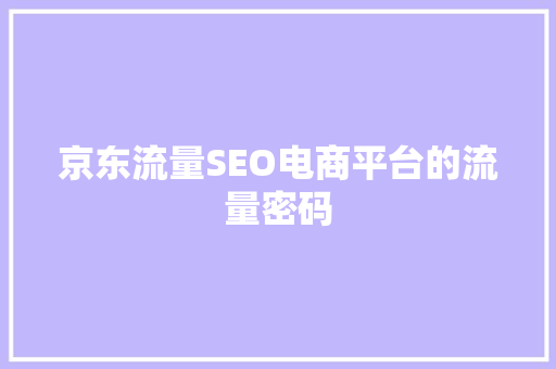 京东流量SEO电商平台的流量密码