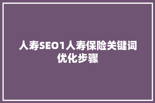 人寿SEO1人寿保险关键词优化步骤