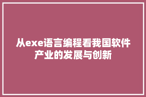 从exe语言编程看我国软件产业的发展与创新