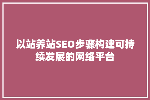 以站养站SEO步骤构建可持续发展的网络平台