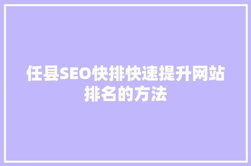 任县SEO快排快速提升网站排名的方法