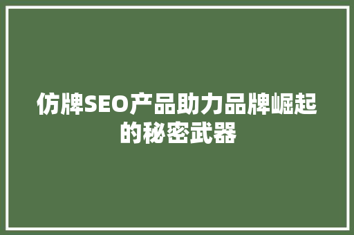 仿牌SEO产品助力品牌崛起的秘密武器