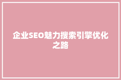 企业SEO魅力搜索引擎优化之路