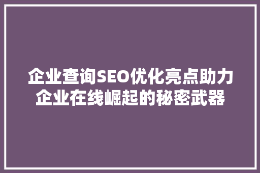 企业查询SEO优化亮点助力企业在线崛起的秘密武器