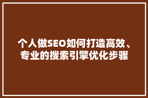 个人做SEO如何打造高效、专业的搜索引擎优化步骤