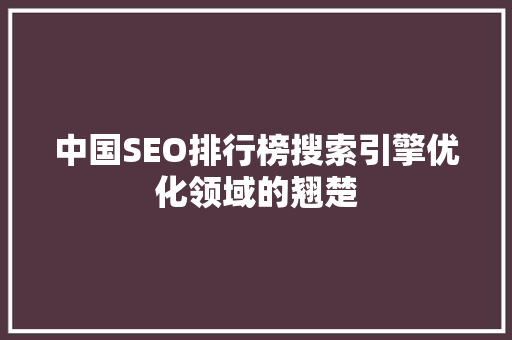 中国SEO排行榜搜索引擎优化领域的翘楚