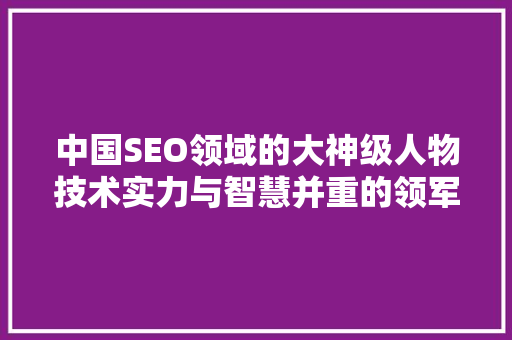 中国SEO领域的大神级人物技术实力与智慧并重的领军者