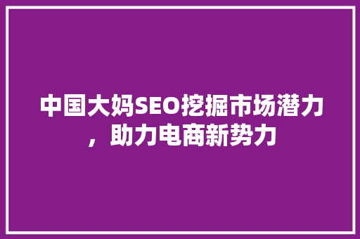 中国大妈SEO挖掘市场潜力，助力电商新势力