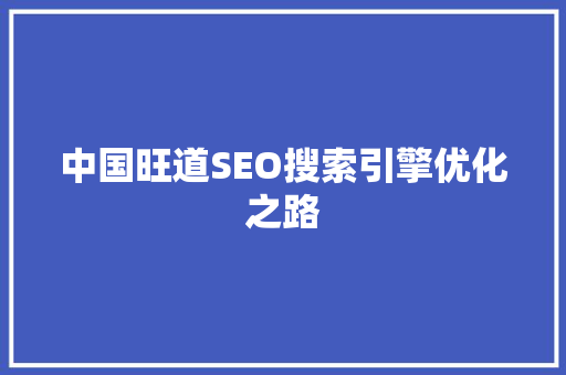 中国旺道SEO搜索引擎优化之路