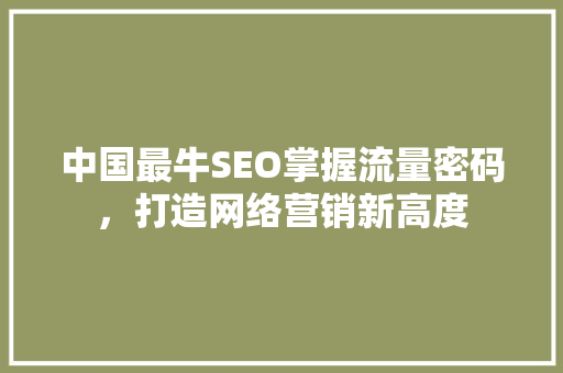 中国最牛SEO掌握流量密码，打造网络营销新高度