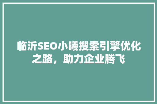 临沂SEO小曦搜索引擎优化之路，助力企业腾飞