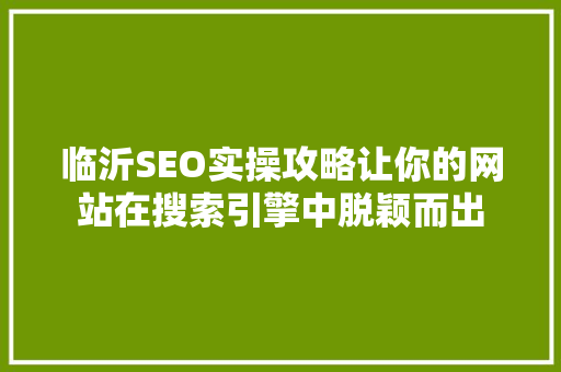 临沂SEO实操攻略让你的网站在搜索引擎中脱颖而出