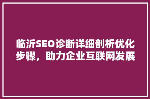 临沂SEO诊断详细剖析优化步骤，助力企业互联网发展