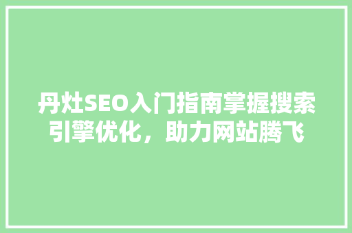 丹灶SEO入门指南掌握搜索引擎优化，助力网站腾飞