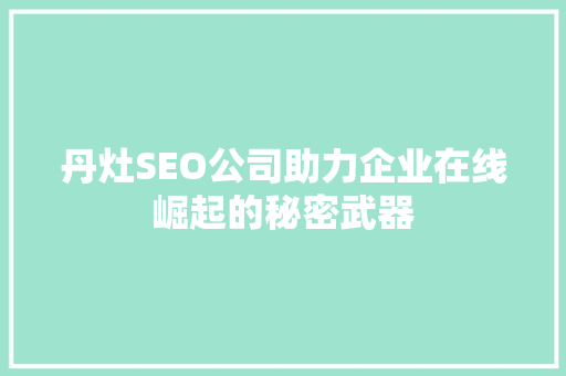 丹灶SEO公司助力企业在线崛起的秘密武器