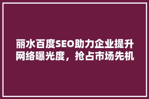 丽水百度SEO助力企业提升网络曝光度，抢占市场先机