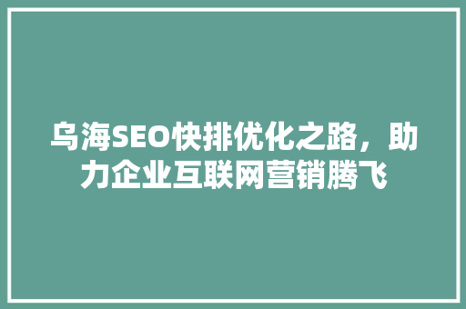 乌海SEO快排优化之路，助力企业互联网营销腾飞