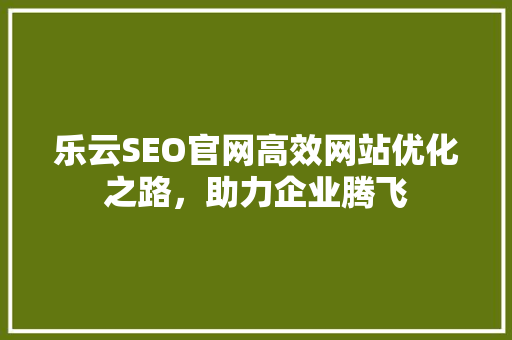 乐云SEO官网高效网站优化之路，助力企业腾飞