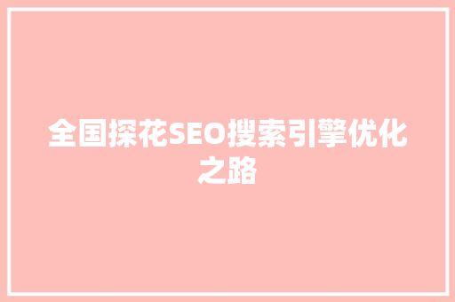 全国探花SEO搜索引擎优化之路