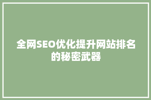 全网SEO优化提升网站排名的秘密武器