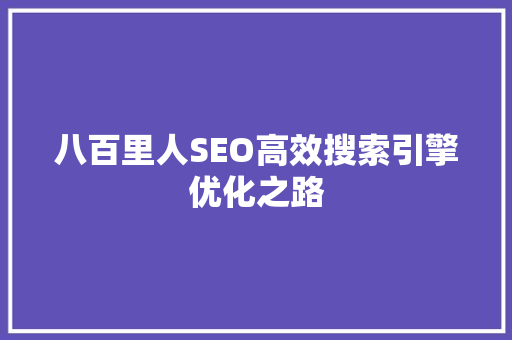 八百里人SEO高效搜索引擎优化之路