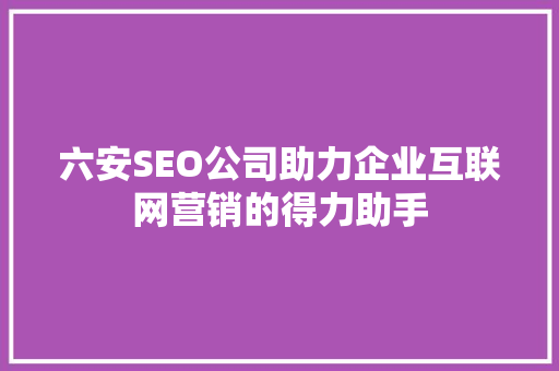 六安SEO公司助力企业互联网营销的得力助手