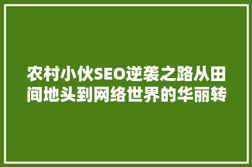 农村小伙SEO逆袭之路从田间地头到网络世界的华丽转身