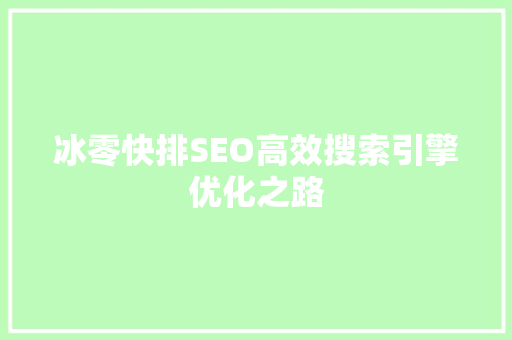 冰零快排SEO高效搜索引擎优化之路