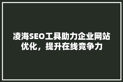 凌海SEO工具助力企业网站优化，提升在线竞争力