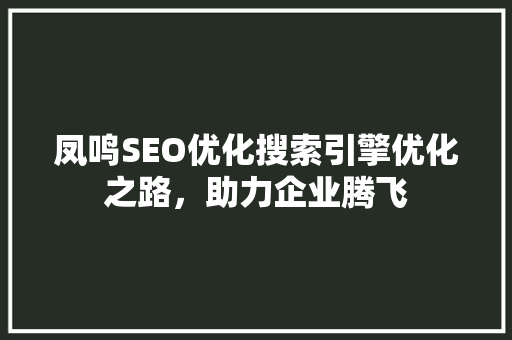 凤鸣SEO优化搜索引擎优化之路，助力企业腾飞