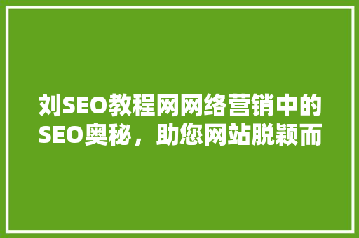 刘SEO教程网网络营销中的SEO奥秘，助您网站脱颖而出