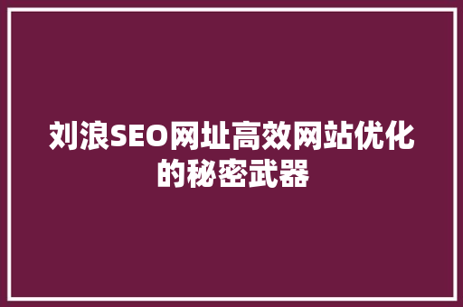 刘浪SEO网址高效网站优化的秘密武器