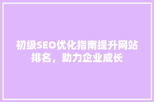 初级SEO优化指南提升网站排名，助力企业成长